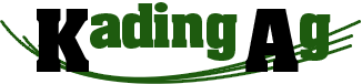 Logo Kading Ag
